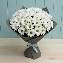 Букет цветов из:  Хризантемы в Новой Ольховке