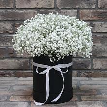 Цветочная композиция из Гипсофила в шляпной коробке #REPLACE_PRED# Новой Ольховке