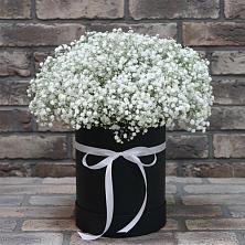 Цветочная композиция из Гипсофила в шляпной коробке в Новой Ольховке